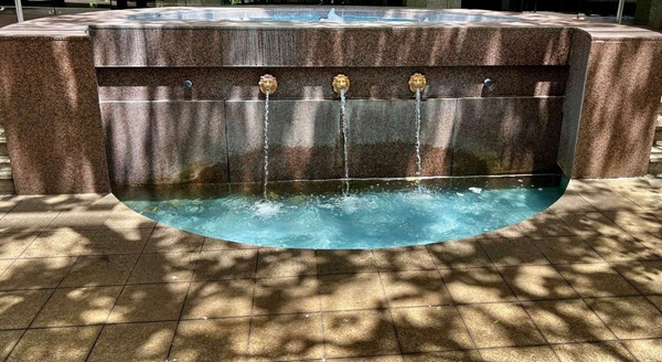 before efloressence 600