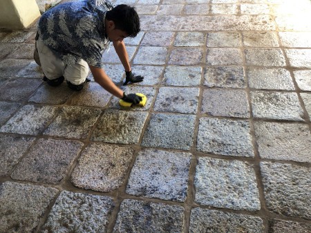 chinesecrt 2 450x338